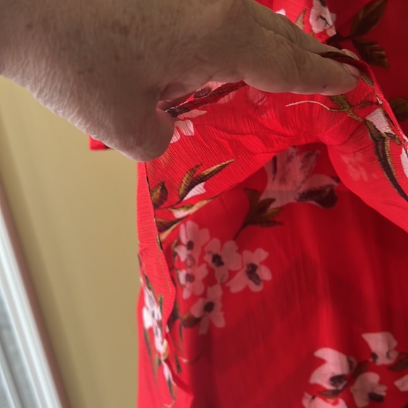 Taylor - Picture 5 of 11